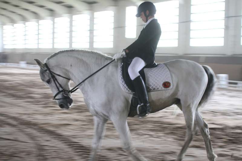 Segunda Fase de la Liga de Doma Clásica